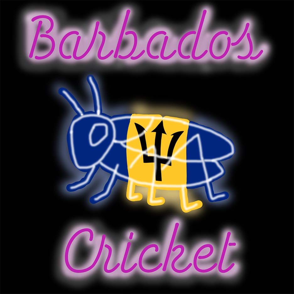 Barbados Cricket EMD-Foley DJ logo